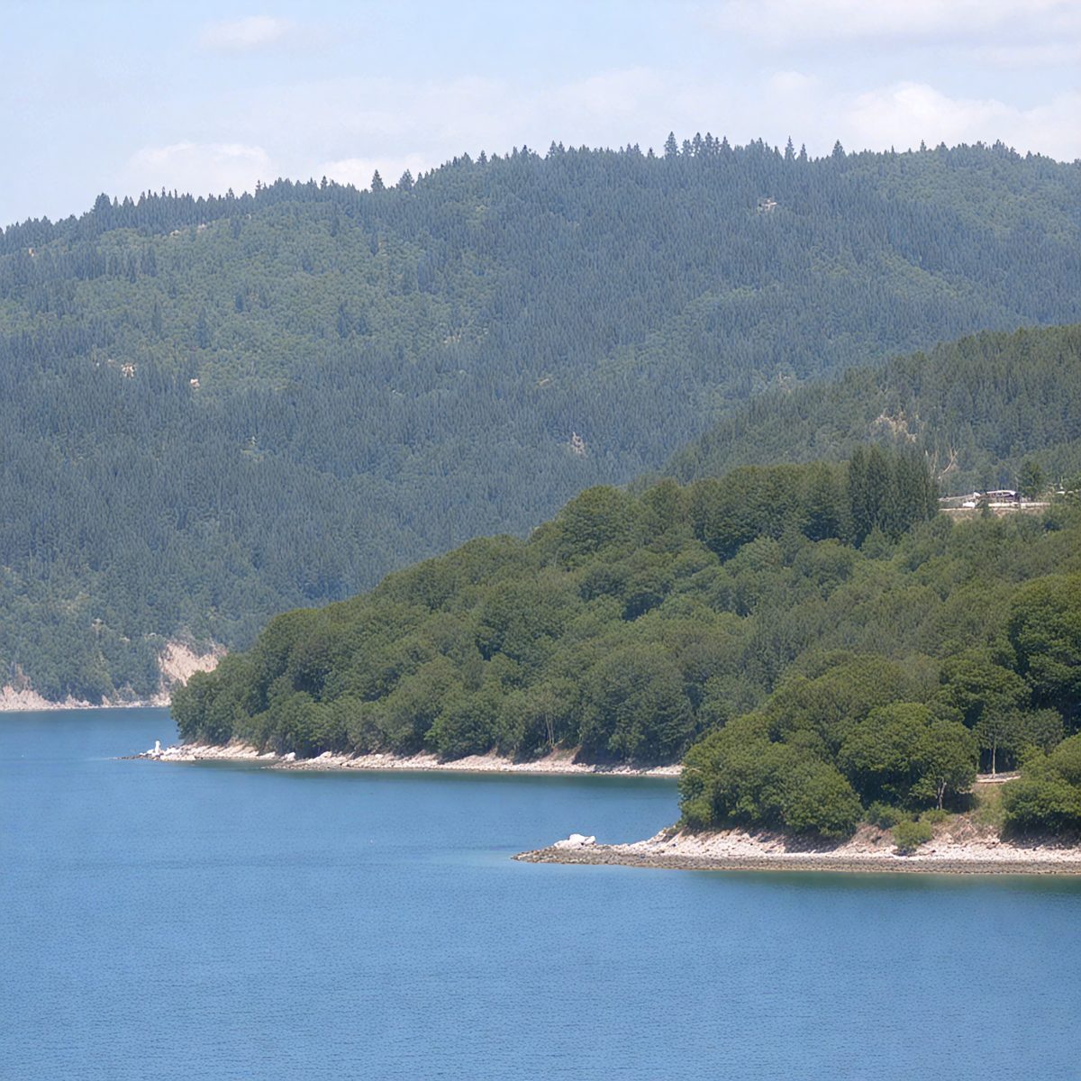 15124c67-92c4-48b2-a348-17bf01bbe236-turkish-forests-island-459eaf_250319182540_Filename Text 2_04065_Filename Text 3_result.jpg